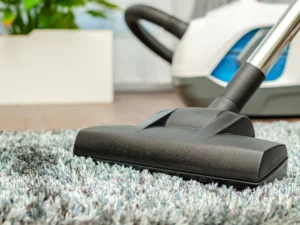 Is Professional Carpet Cleaning Better Than Doing It Yourself