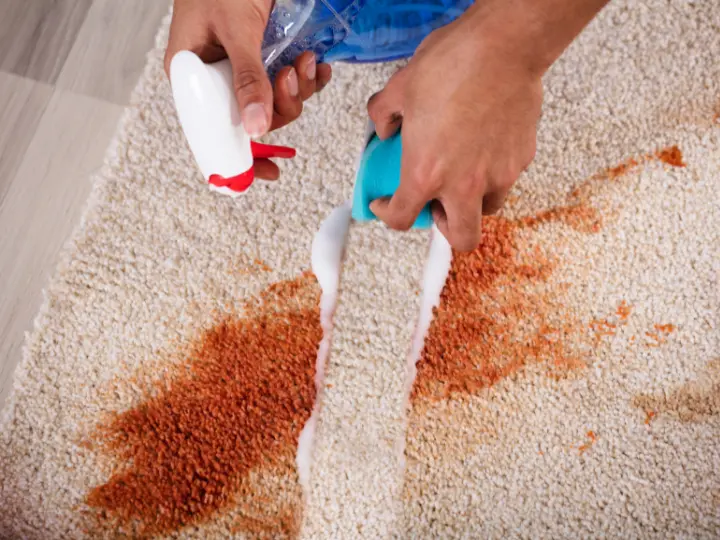 Is it a Good Idea to Get Carpets Cleaned